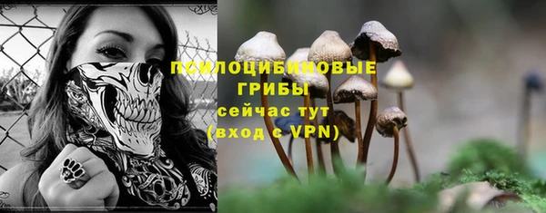 прущие крисы Алзамай