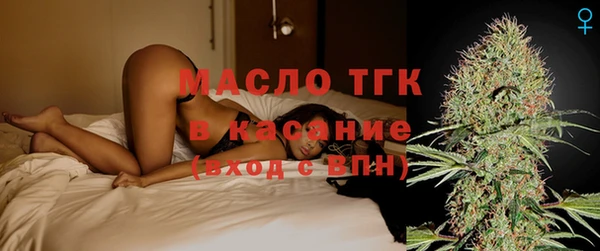 СК Алексин