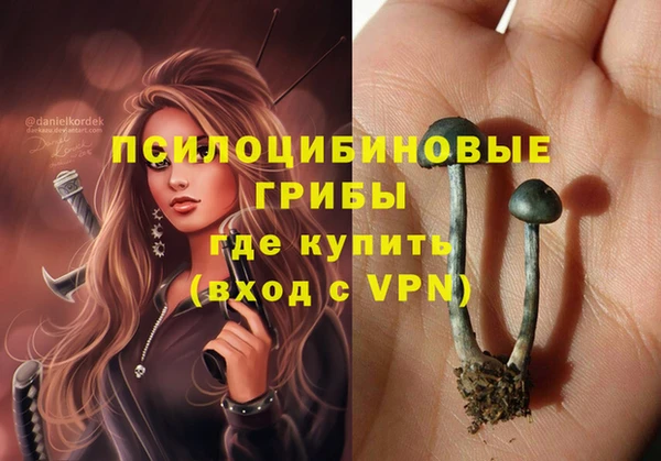 прущие крисы Алзамай