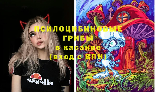прущие крисы Алзамай