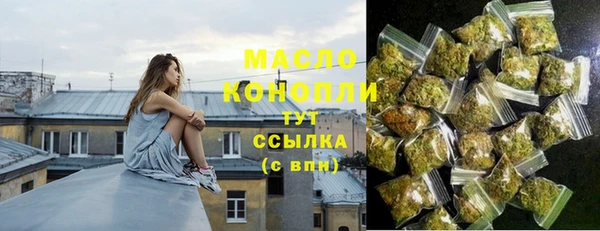 СК Алексин