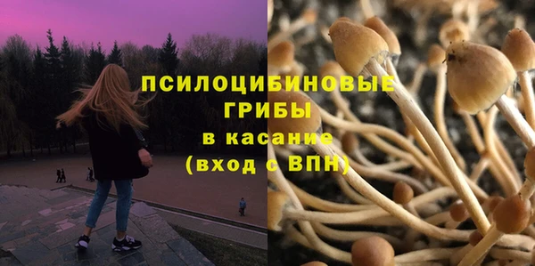 прущие крисы Алзамай
