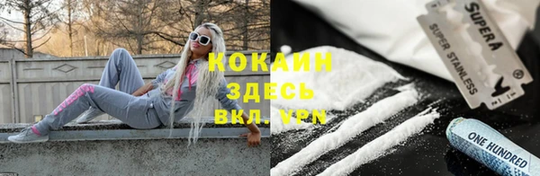 СК Алексин