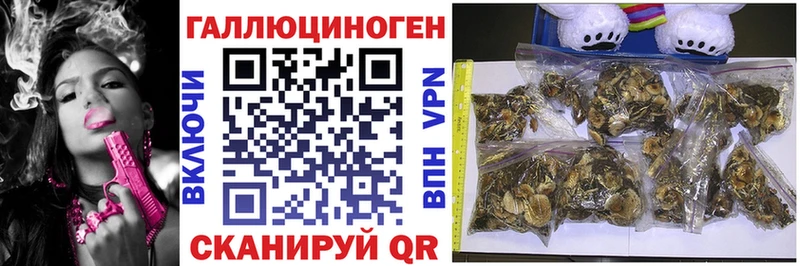 Галлюциногенные грибы ЛСД купить Волжский